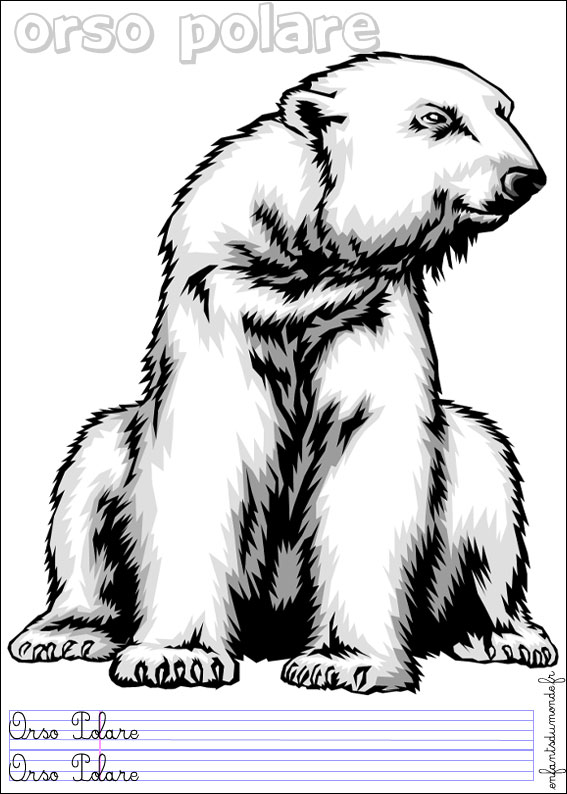 coloriage ours polaire 2